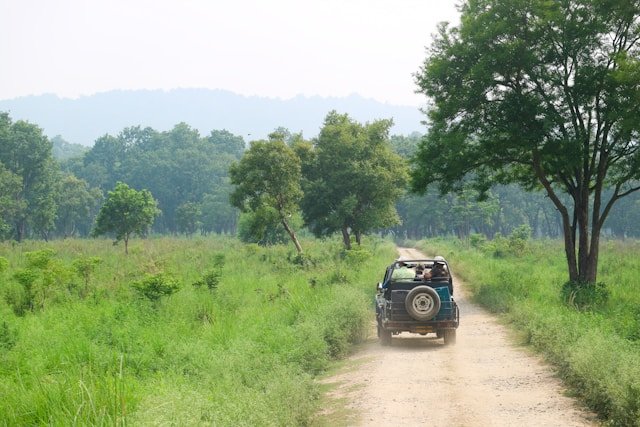 Jim Corbett National Park Landscape
